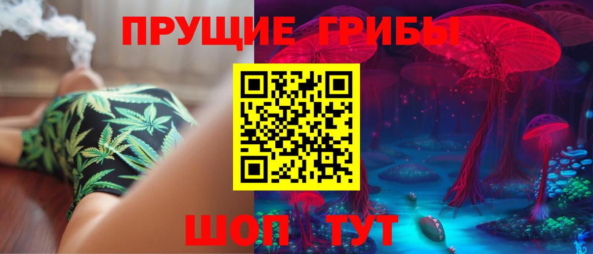 Псилоцибиновые грибы прущие грибы Морозовск