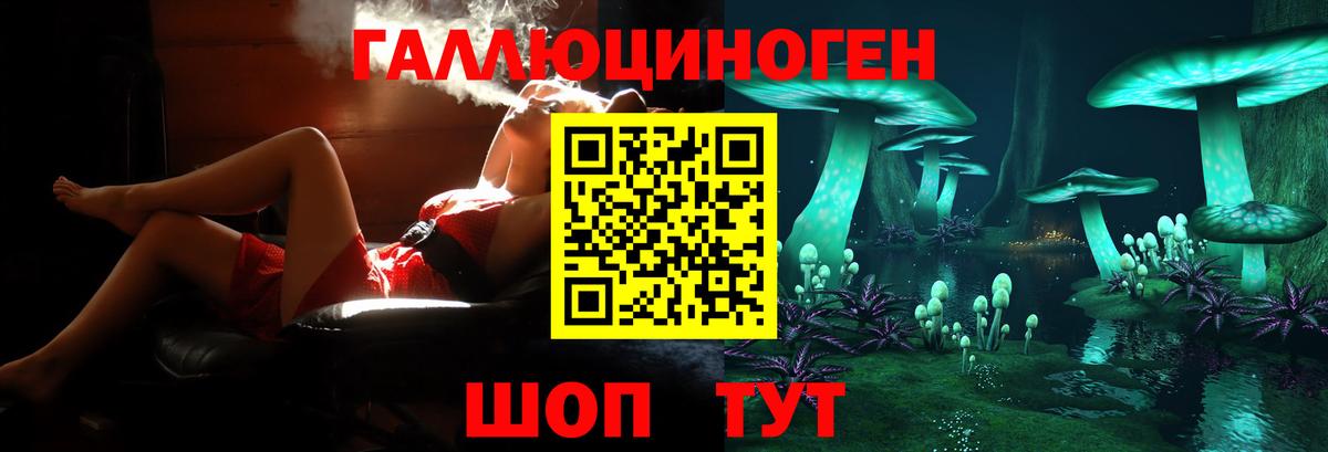 Морозовск  Псилоцибиновые грибы Magic Shrooms  Галлюциногенные грибы Magic Shrooms  Вход с VPN 